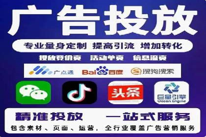 SEM广告投放的精准定位与优化案例